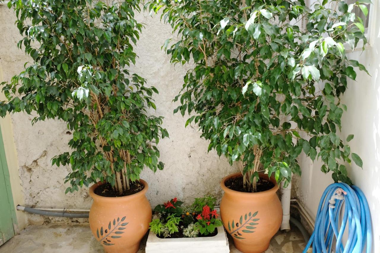 אתונה George Studio מראה חיצוני תמונה